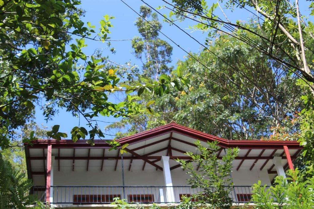 Amado Homestay Ella Exterior foto